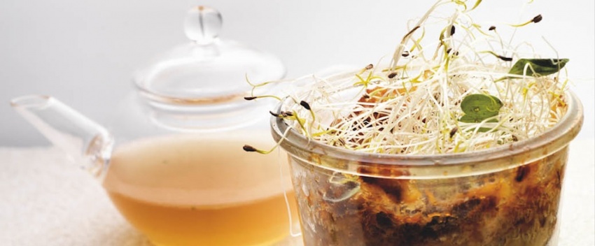 Sopa coada revisited