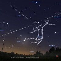 stelle-cadenti-san-lorenzo