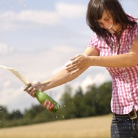 stiegl-veneto-prevedello