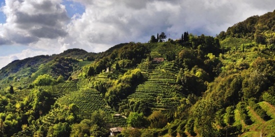 Terre di Prosecco a Palazzo Sarcinelli