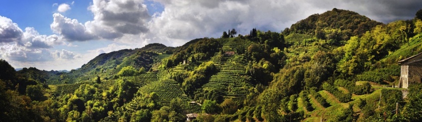 Terre di Prosecco a Palazzo Sarcinelli