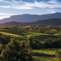 terre-di-prosecco-verso-la-candidatura-unesco