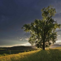 terre-prosecco-shire-conegliano
