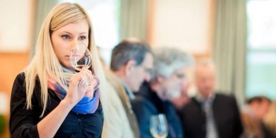 Top of Vini Alto Adige