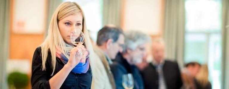 Top of Vini Alto Adige