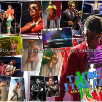 tributo-italiano-birreria-gallileo