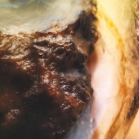 vasocottura-brule-vitello