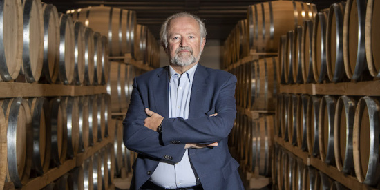 La vendemmia 2022 di Schenk Italian Wineries