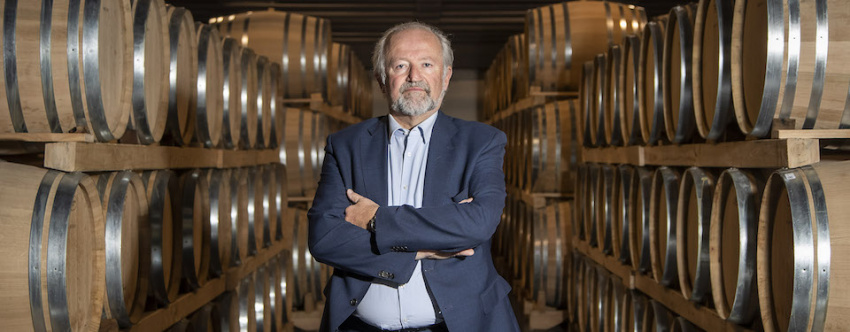 La vendemmia 2022 di Schenk Italian Wineries