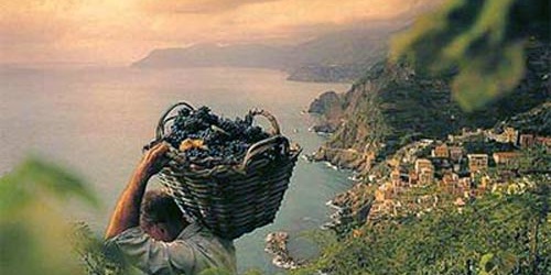 Il misterioso nome di San Vendemiano