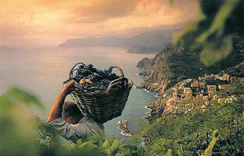 Il misterioso nome di San Vendemiano