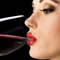 vinama-eno-conegliano