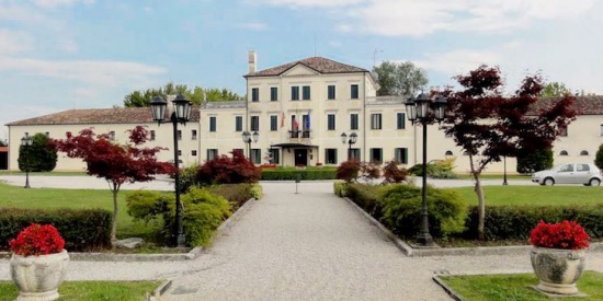 Vini da terre estreme a Mogliano Veneto