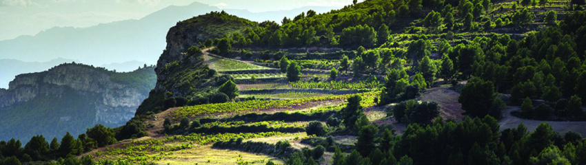 Vini da terre estreme 2020