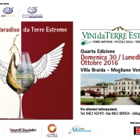 vini-da-terre-estreme-mogliano-veneto
