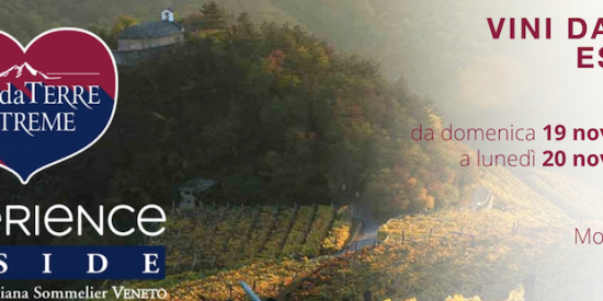 Vini da terre estreme a Mogliano 