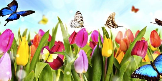 Zumba Party al Gallileo di Fontanelle